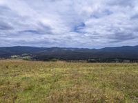 the grassy field on top of a hill with two trees on it and mountains in the background