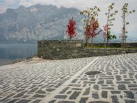 a stone walkway near the water with a lone red tree in front of it and mountains in the distance