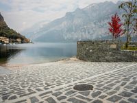 a stone walkway near the water with a lone red tree in front of it and mountains in the distance