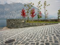 a stone walkway near the water with a lone red tree in front of it and mountains in the distance