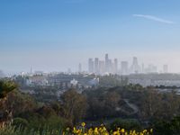Overview of Los Angeles: A Clear Sky Day