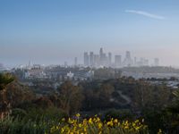 Overview of Los Angeles: A Clear Sky Day