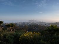 Overview of Los Angeles: A Clear Sky Day