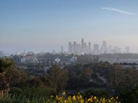Overview of Los Angeles: A Clear Sky Day