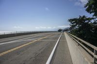 a paved highway along the coast with a bridge and two lanes of asphalt, with a large tree beside it