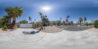 the view from the bottom of a skateboard park, with palm trees in the background