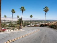 Palm Springs California Cityscape: Urban Oasis 001