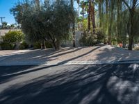 Palm Springs, California: Mid-Century Charm