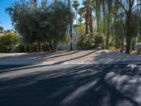 Palm Springs, California: Mid-Century Charm