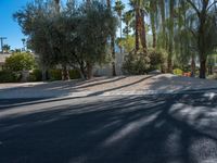 Palm Springs, California: Mid-Century Charm