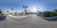 the 360 - view lens shows the street with palm trees on it and a view of the mountains in the background