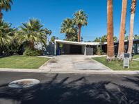 the entrance of a modern house, with palm trees and an asphalt driveway in front