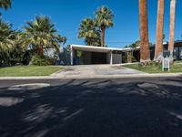 the entrance of a modern house, with palm trees and an asphalt driveway in front