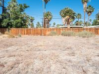 Palm Springs, California: Residential Street