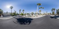 skate boarders riding through a street with palm trees in the background on a sunny day