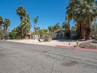 Palm Springs California Suburban Architecture