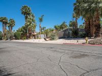 Palm Springs California Suburban Architecture