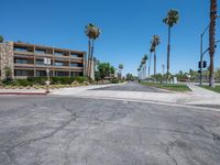 an empty street with palm trees on either side and multiple apartment blocks along the opposite direction