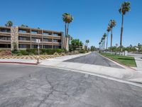 an empty street with palm trees on either side and multiple apartment blocks along the opposite direction