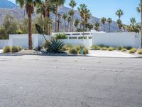 the empty road is lined with palm trees and bushes, along with the white house