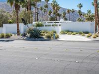 the empty road is lined with palm trees and bushes, along with the white house