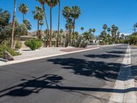 palm trees line the street near a housing community area on a sunny day in california's desert