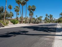 palm trees line the street near a housing community area on a sunny day in california's desert