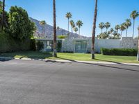 Palm Springs Mid-Century Architecture 001