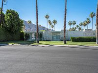 Palm Springs Mid-Century Architecture 002