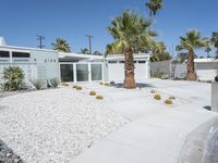 Mid Century Home and Garden in Palm Springs