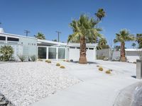 Mid Century Home and Garden in Palm Springs