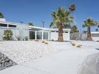 Mid Century Home and Garden in Palm Springs