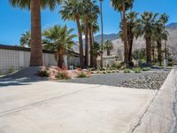 Palm Springs Mid-Century Home in the Sonora Desert