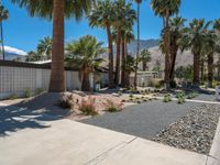 Palm Springs Mid-Century Home in the Sonora Desert