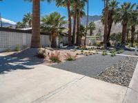 Palm Springs Mid-Century Home in the Sonora Desert