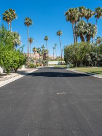 Palm Springs: Straight Down the Road into Mid-Century Charm