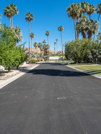 Palm Springs: Straight Down the Road into Mid-Century Charm
