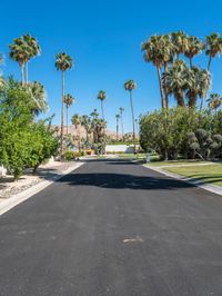 Palm Springs: Straight Down the Road into Mid-Century Charm