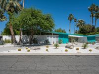 the exterior of an old mid century home with cactus bushes and cacti bushes