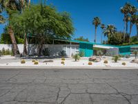 the exterior of an old mid century home with cactus bushes and cacti bushes