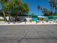 the exterior of an old mid century home with cactus bushes and cacti bushes