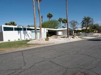 Mid-Century Villa in Palm Springs: Surrounded by Palm Trees