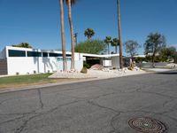 Mid-Century Villa in Palm Springs: Surrounded by Palm Trees