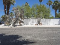 Palm Springs Mid-Century Villa with White Brick (001)