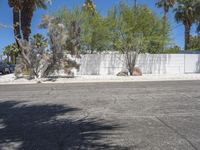 Palm Springs Mid-Century Villa with White Brick - 002