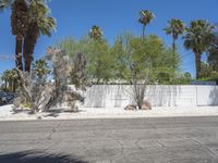 Palm Springs Mid-Century Villa with White Brick 003