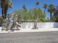 Palm Springs Mid-Century Villa with White Brick (004)