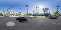 a photo looking down at an empty street that has palm trees and shrubs lining both sides