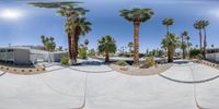 a fish eye lens shows people sitting outside an apartment complex in palm trees on a sunny day