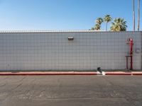 a small white brick building with palm trees around it with two red fire hydrant boxes on the ground next to it